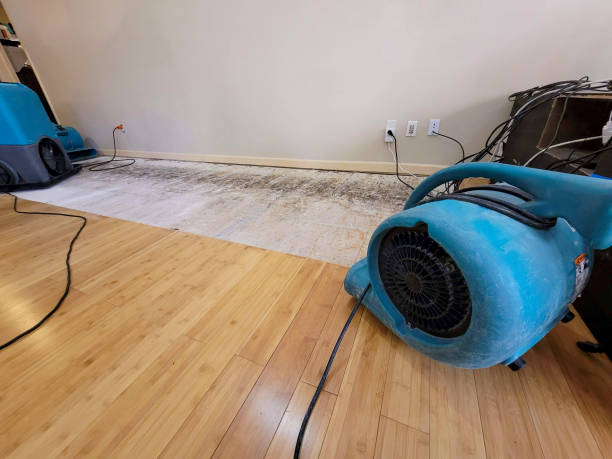 Professional Emergency Water Damage technician working in Red Wing, MN